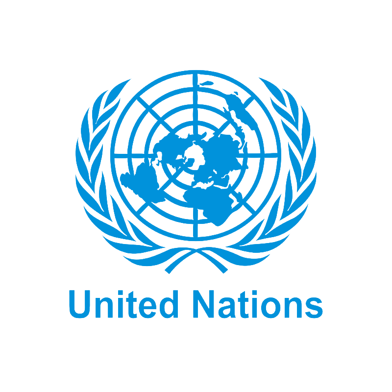 UN Security Council